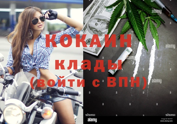 МДПВ Алзамай