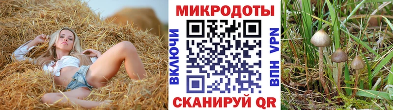 закладка  Пикалёво  Псилоцибиновые грибы мицелий 